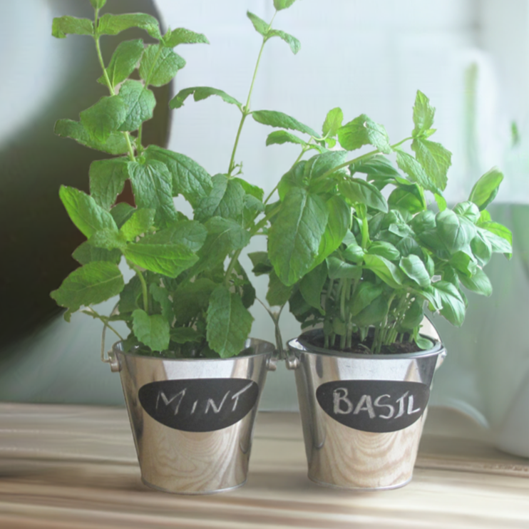 Set of 2 Tin Herb Pots with Chalkboard Labels
