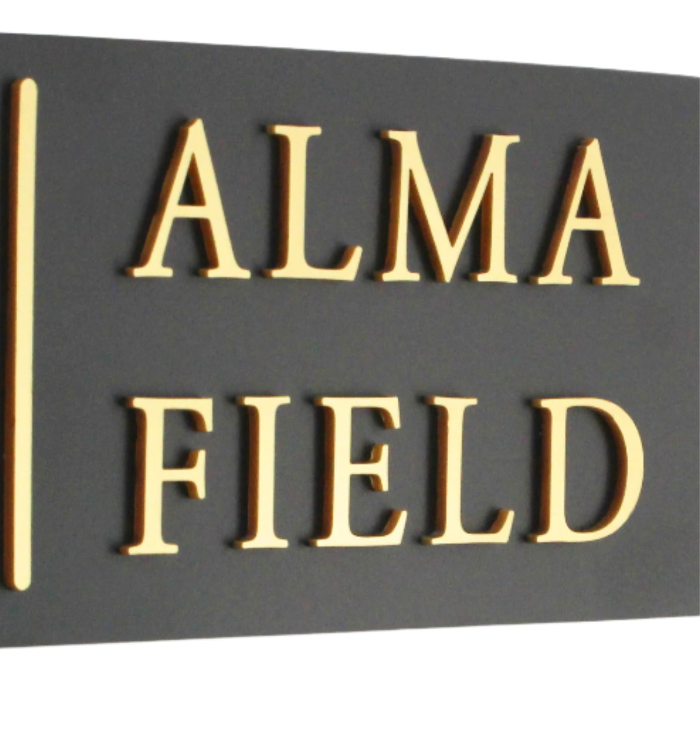 Raised Design House Sign with Vertical Line, Personalised Outdoor Plaque
