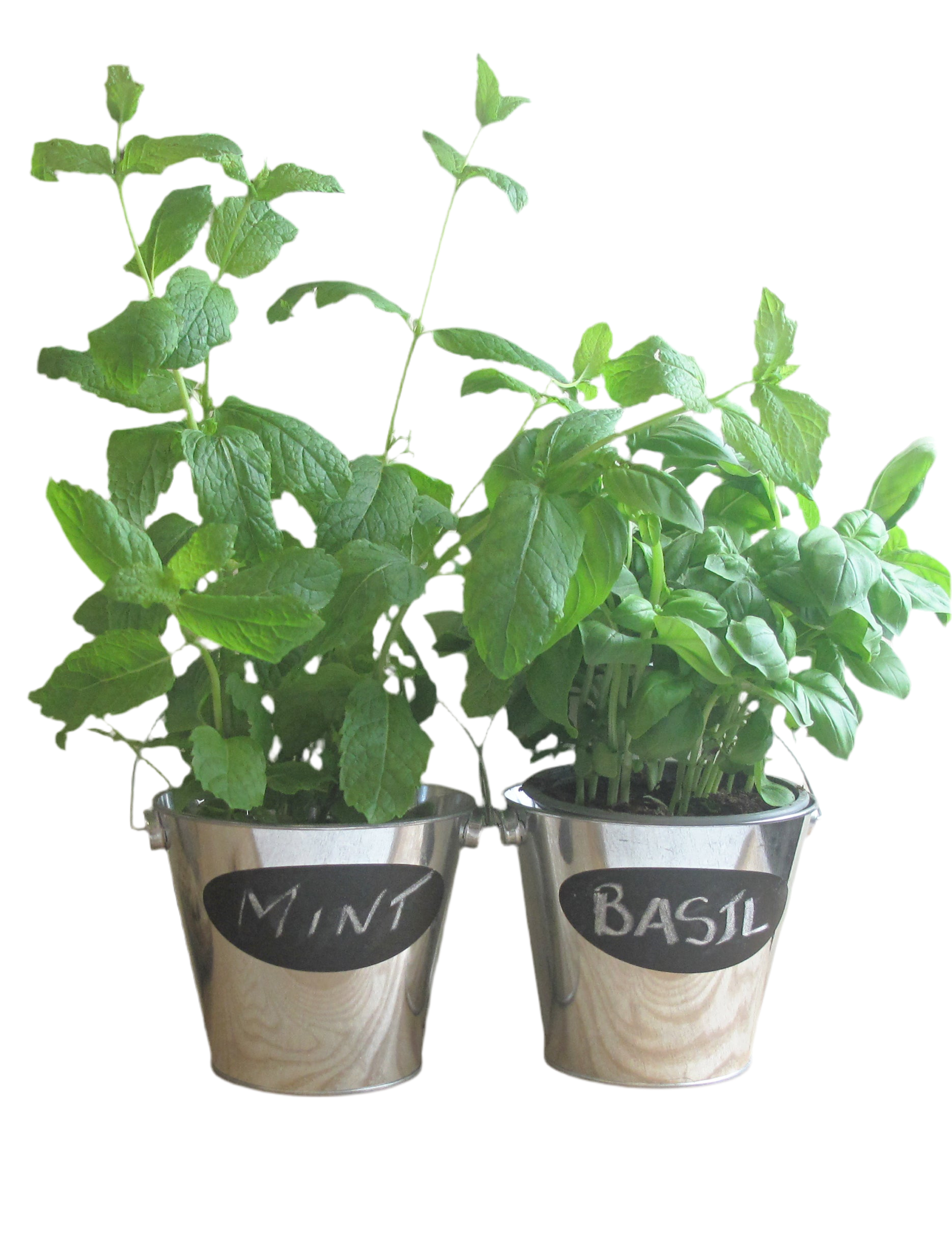 Set of 2 Tin Herb Pots with Chalkboard Labels