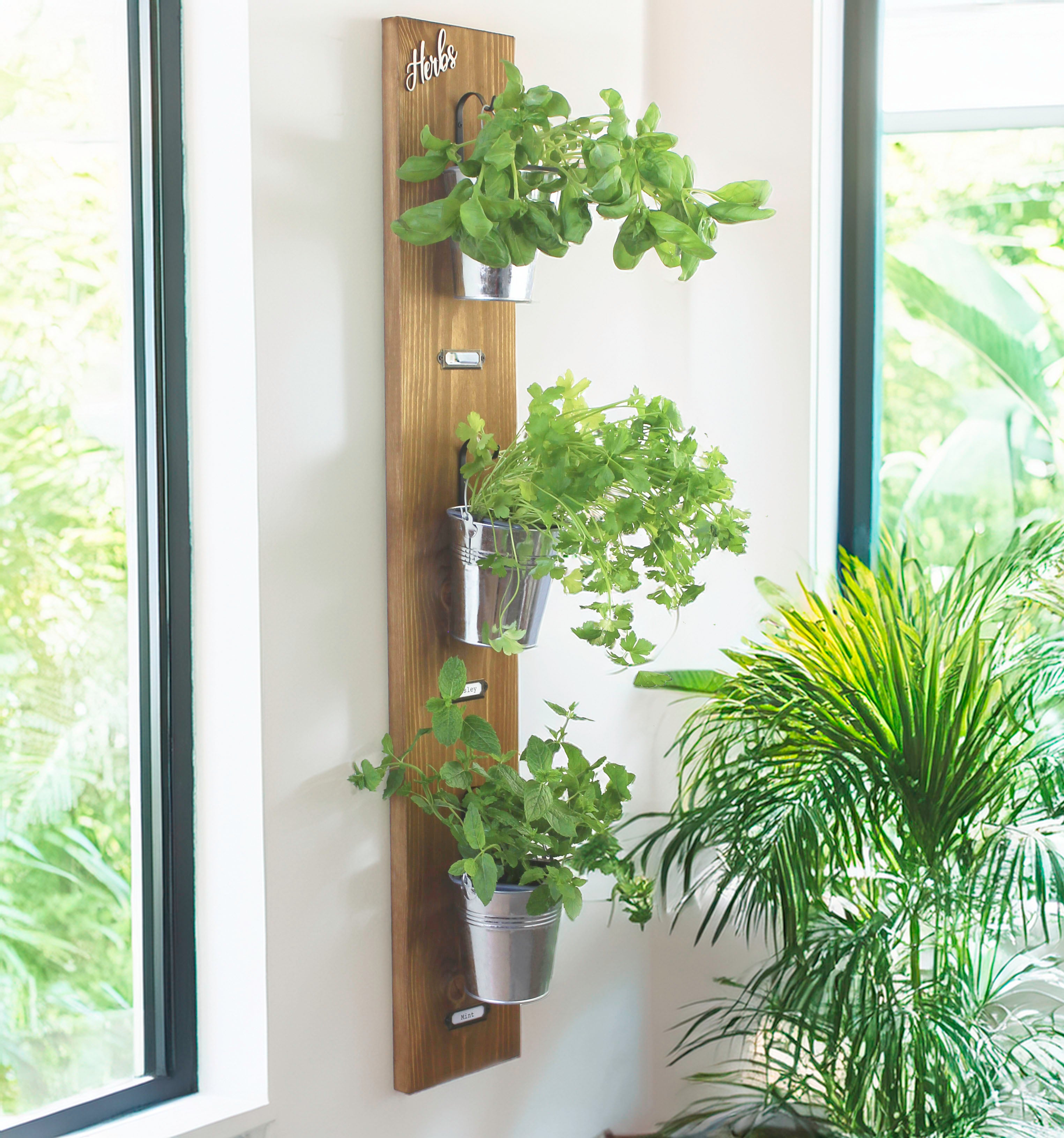 Wall-Mounted Herb Garden with Glass or Tin Pots