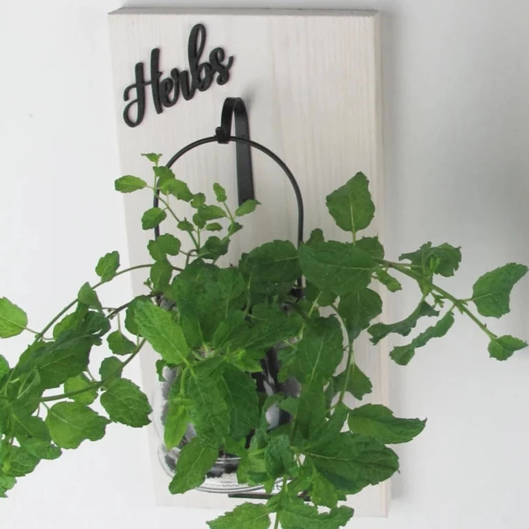 Wall-Mounted Herb Planter with Label Holder