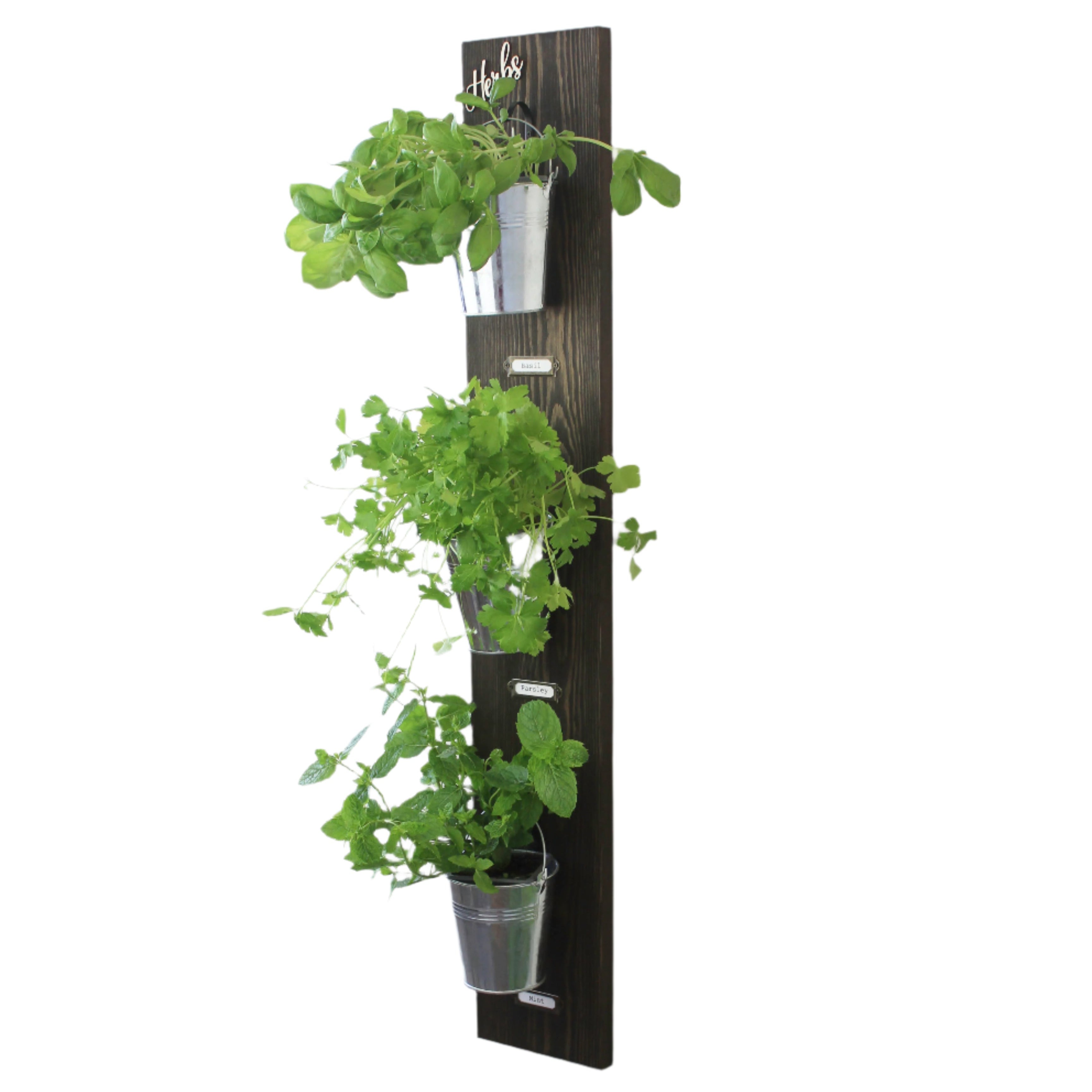 Wall-Mounted Herb Garden with Glass or Tin Pots