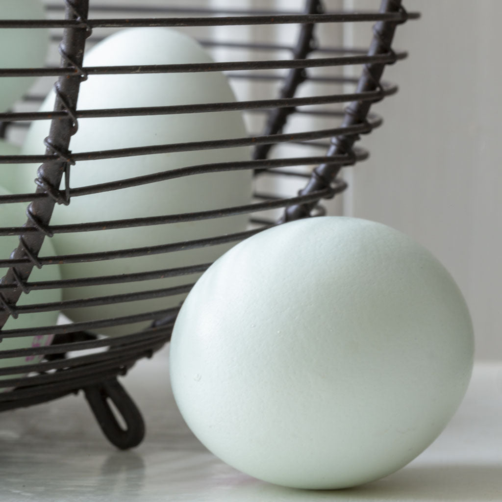 Large Wire Egg Basket with Handle
