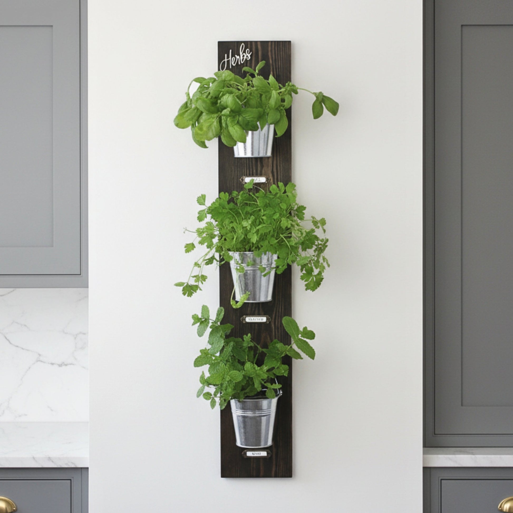 Wall - Mounted Herb Garden with Glass or Tin Pots - Mac and Lilly