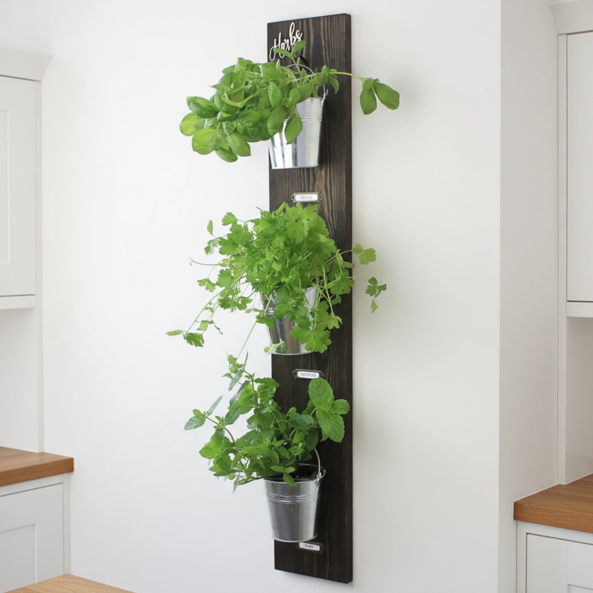 Wall - Mounted Herb Garden with Glass or Tin Pots - Mac and Lilly