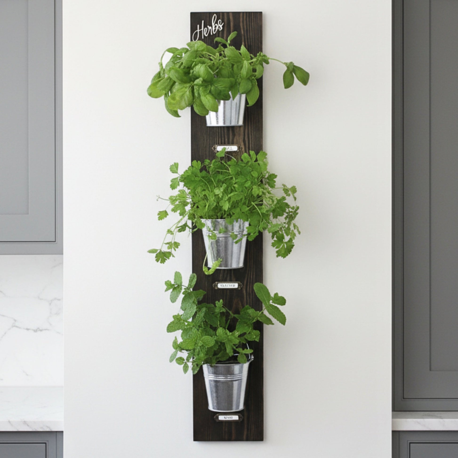 Wall - Mounted Herb Garden with Glass or Tin Pots - Mac and Lilly