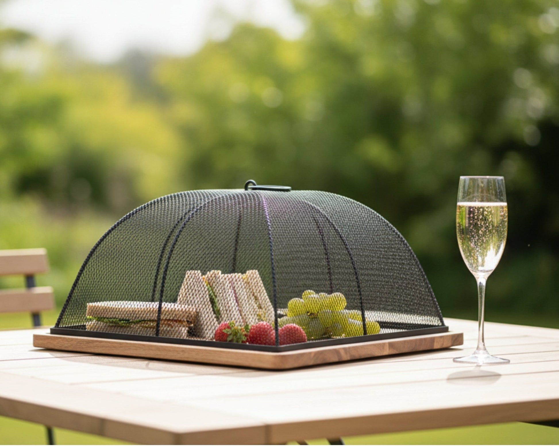 Acacia Wooden Food Cover with Mesh Dome - Mac and Lilly