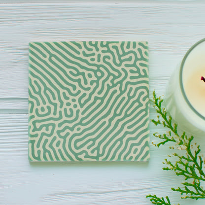 Add a modern vibrant touch to your space with our Abstract Green Pattern Ceramic Coaster Set, this set of four features one striking variation of bold, abstract green patterns, bringing a dynamic and stylish accent to your table.

Available in matte or gloss finish to match your preferred style.

Each coaster is finished with a crisp white, cork-backed base for both elegance and practicality.

Each coaster measures 10cm x 10cm. 