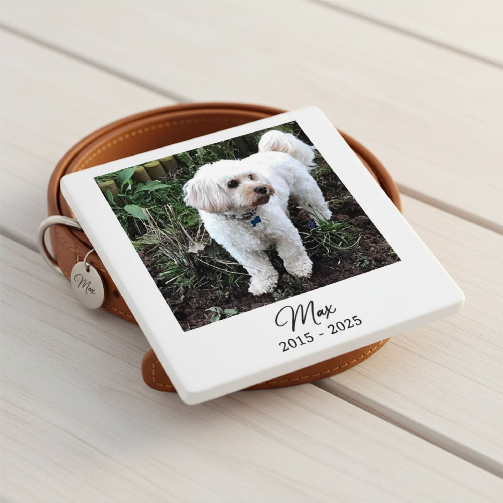 Personalised Pet Memorial Photo Coaster ♡ - Mac and Lilly