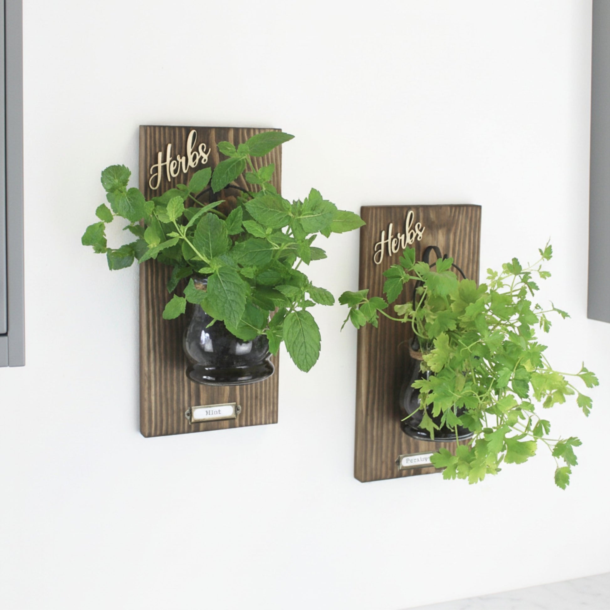 Wall - Mounted Herb Planter with Label Holder - Mac and Lilly