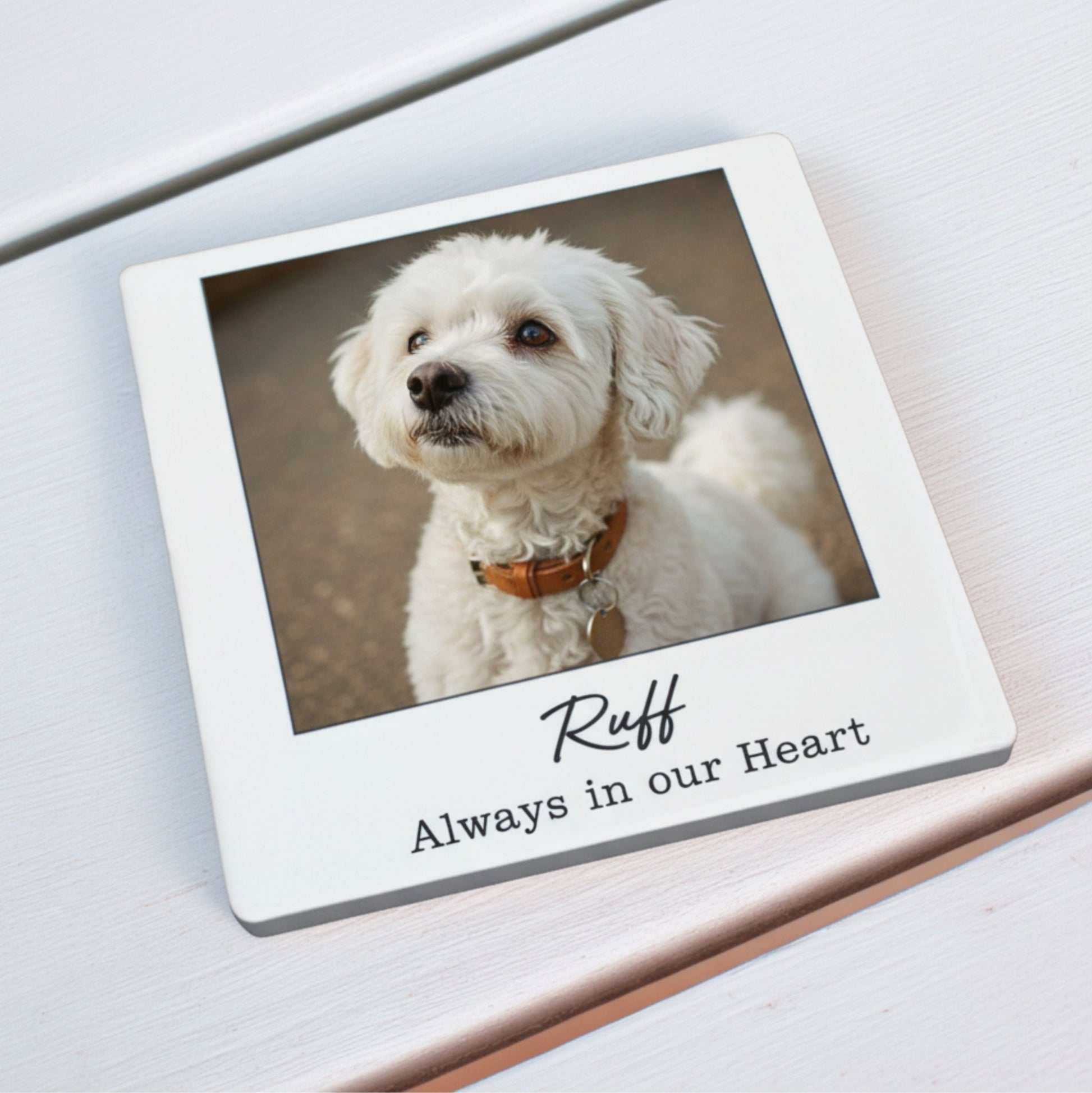 Personalised Pet Memorial Photo Coaster ♡ - Mac and Lilly