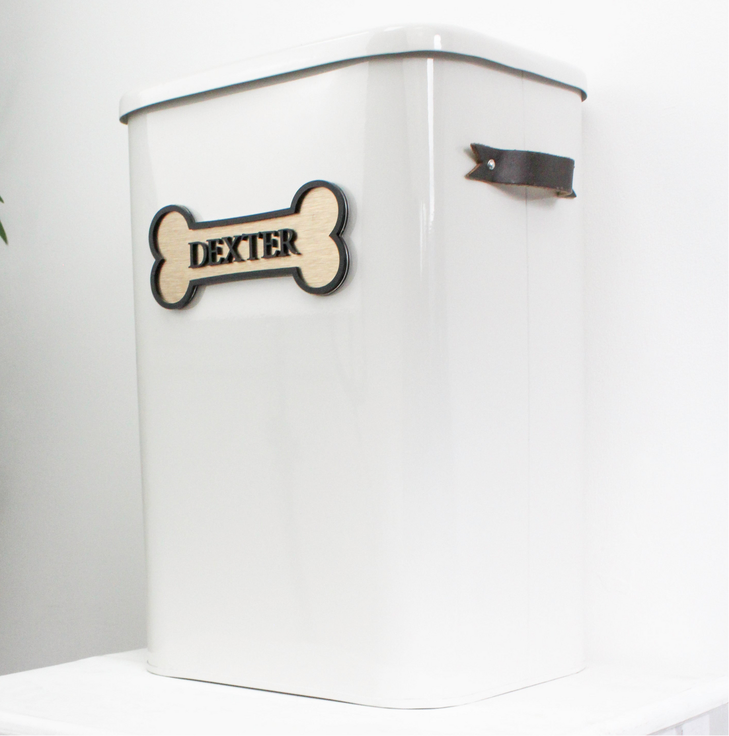 Large and Medium Pet Bins - Personalised Dog Bone