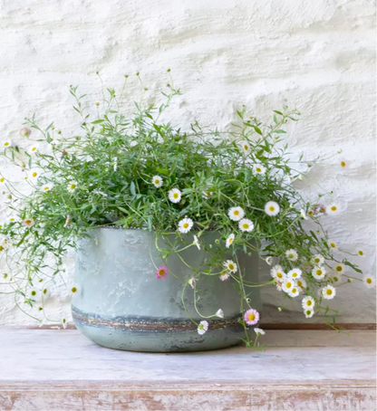 Bathwick Planters With Beading Set of 3