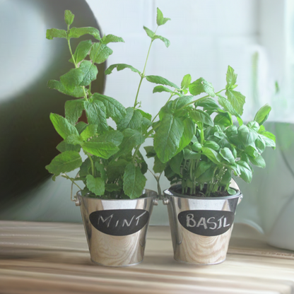 Herb Pots with Chalkboard