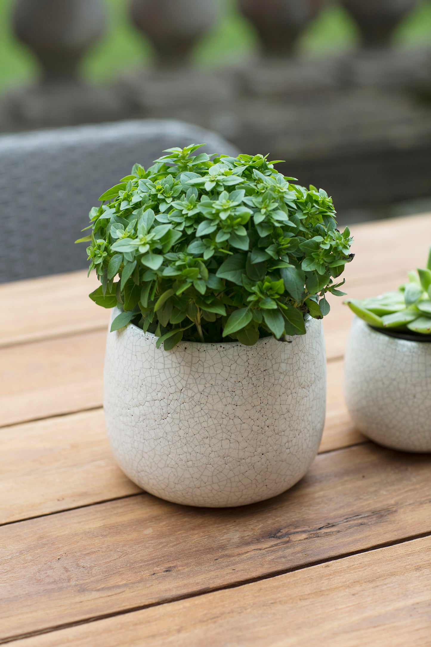 Cream Ceramic Plant pot