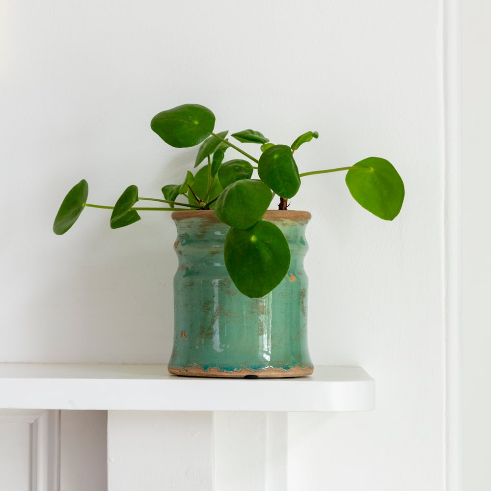 Samos Turquoise Glazed Ceramic Vase | Mac & Lilly