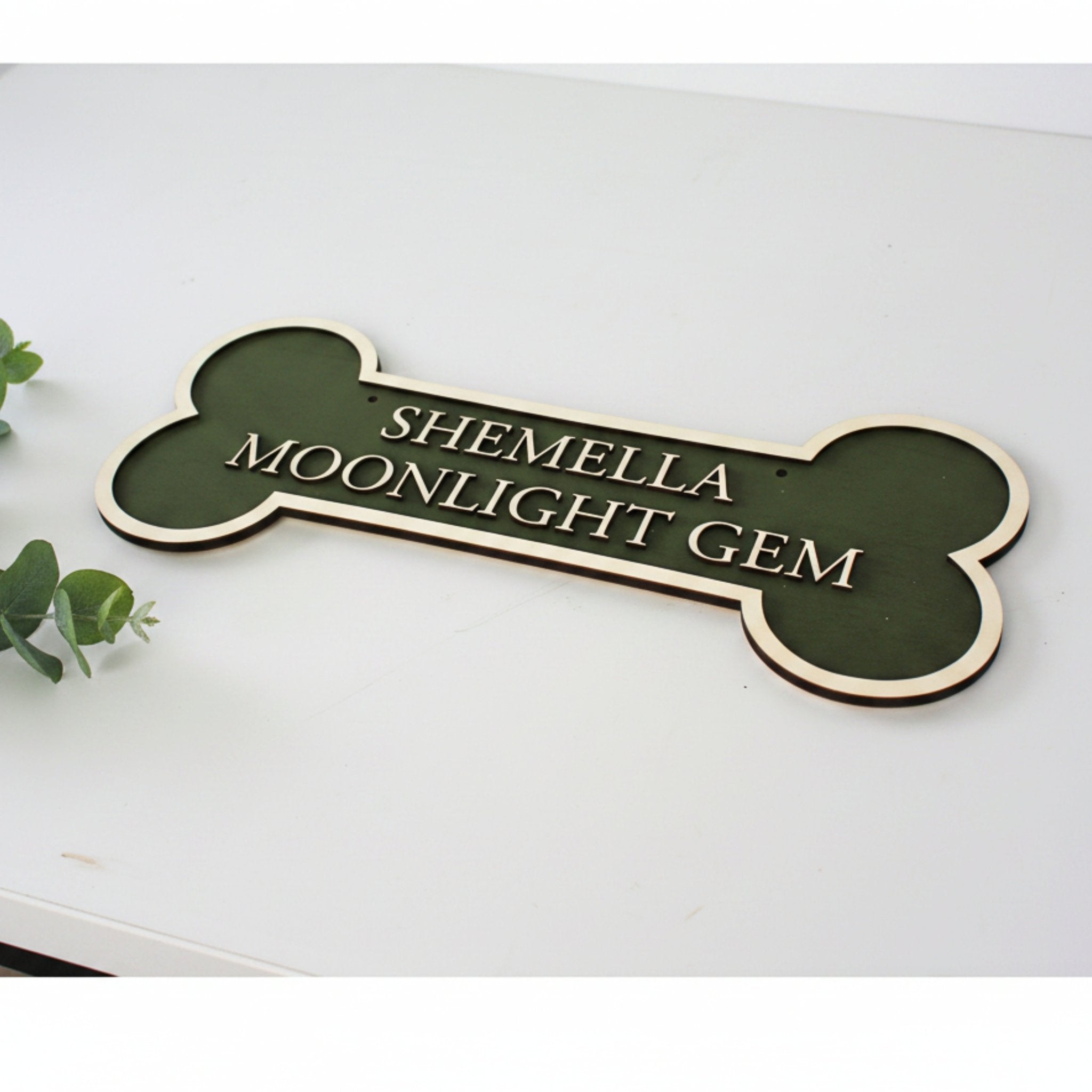Personalised Dog Bone Crate Sign | Colour Collection - Mac and Lilly