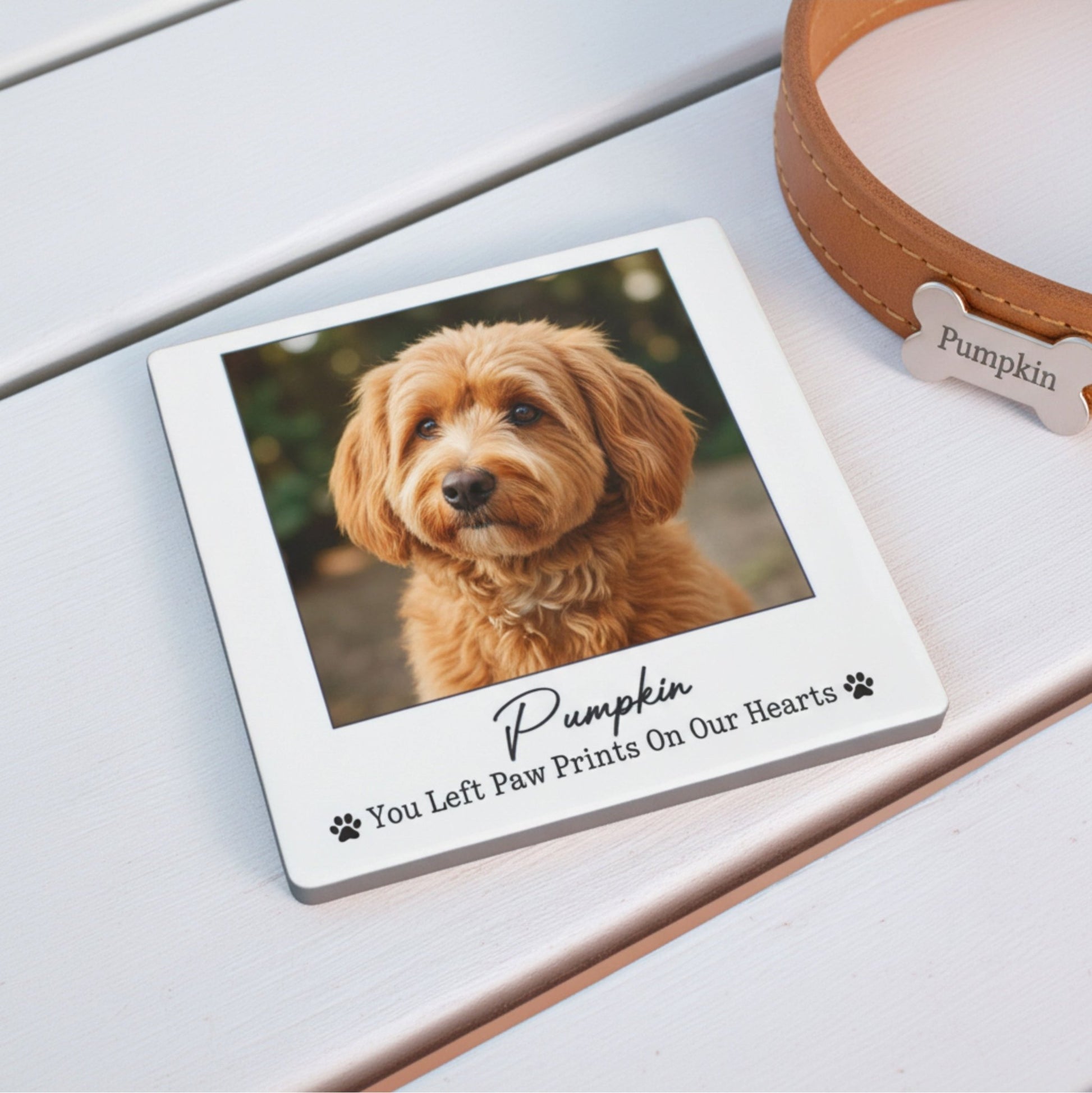 Personalised Pet Memorial Photo Coaster ♡ - Mac and Lilly