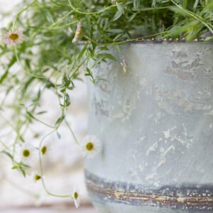 Bathwick Planter – Medium - Mac and Lilly