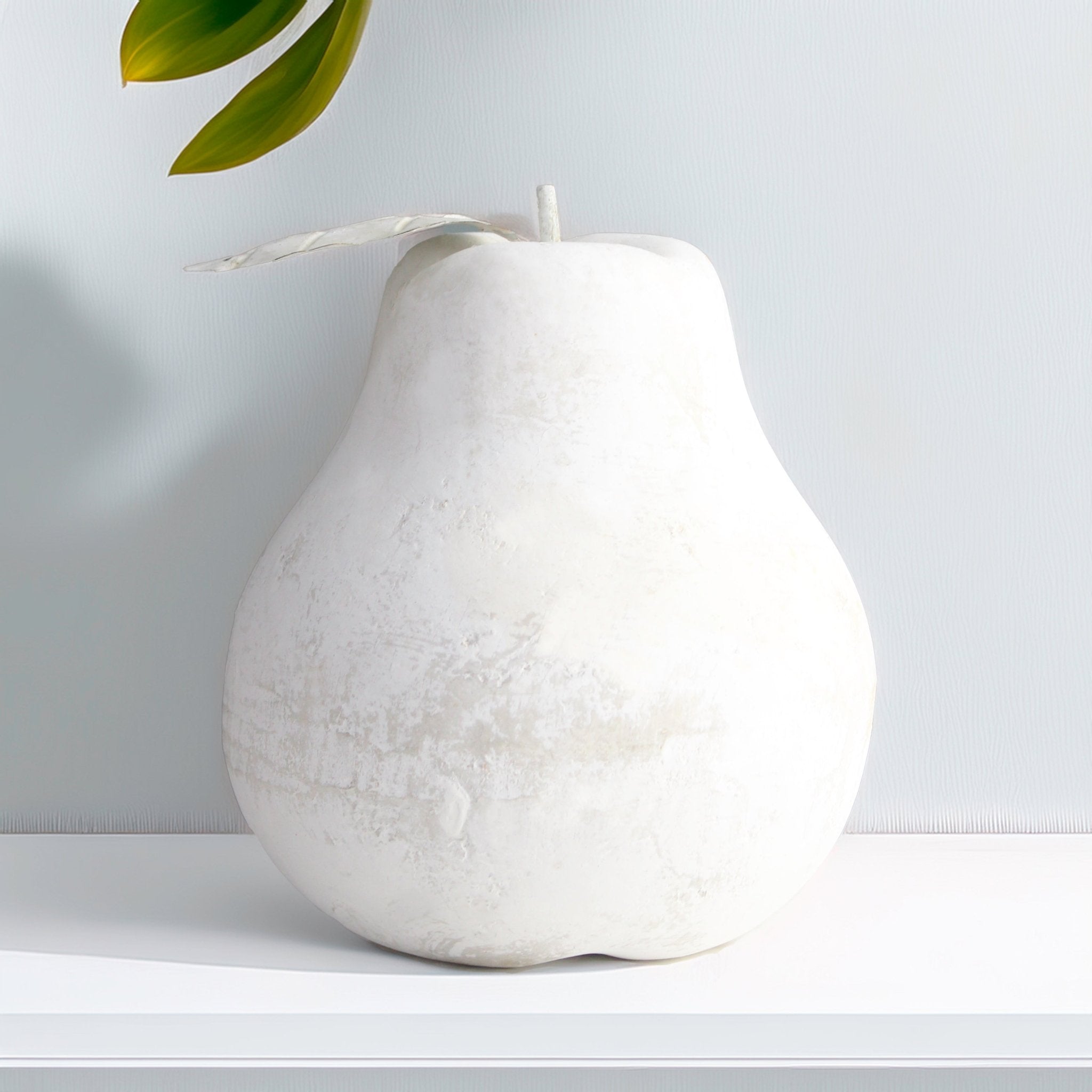 White washed Rustic Pear for kitchen Decor - Mac and Lilly