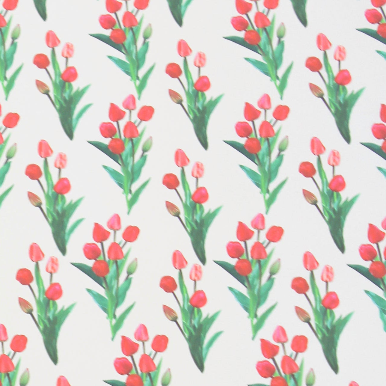 Vibrant Tulip Luxury Gift Wrapping Paper