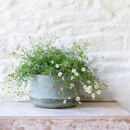 Bathwick Planters With Beading Set of 3