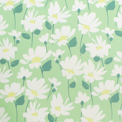 Daisy Meadow Gift Wrapping Paper