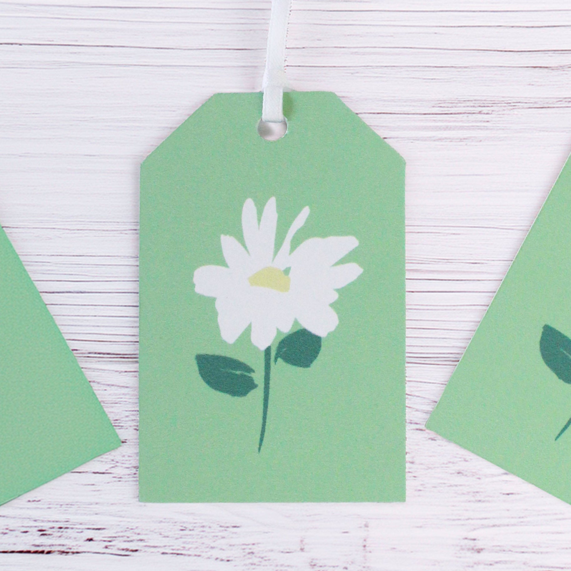 Daisy Meadow Gift Wrapping Paper