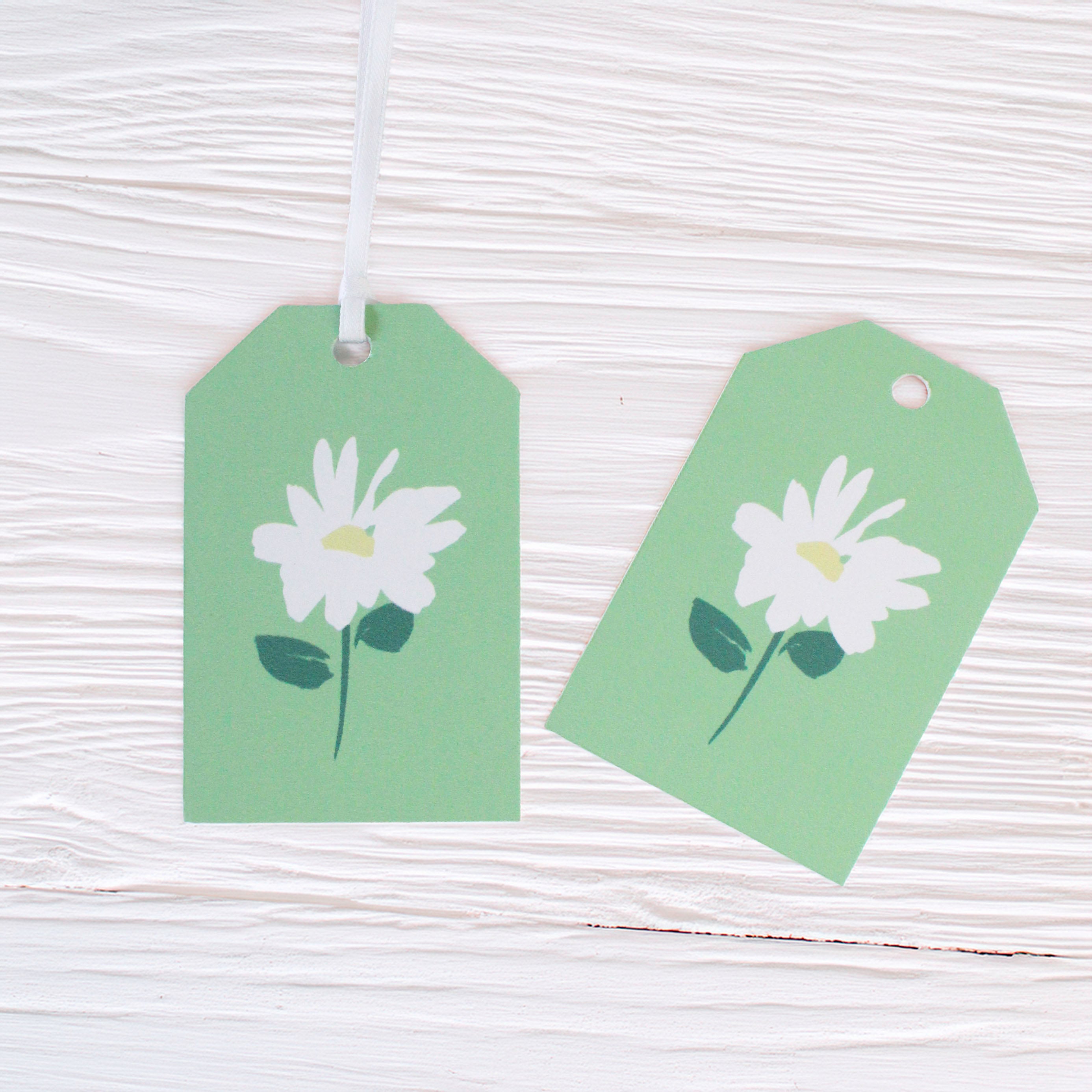 Daisy Meadow Gift Wrapping Paper