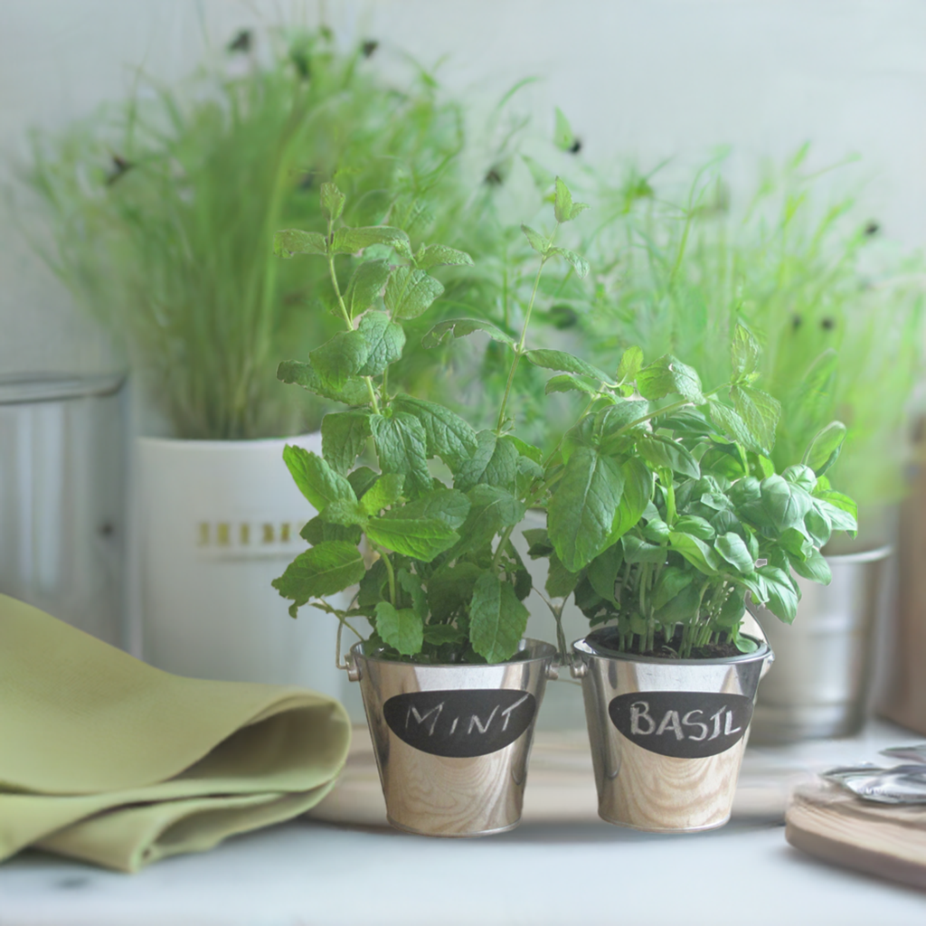 Herb Pots with Chalkboard