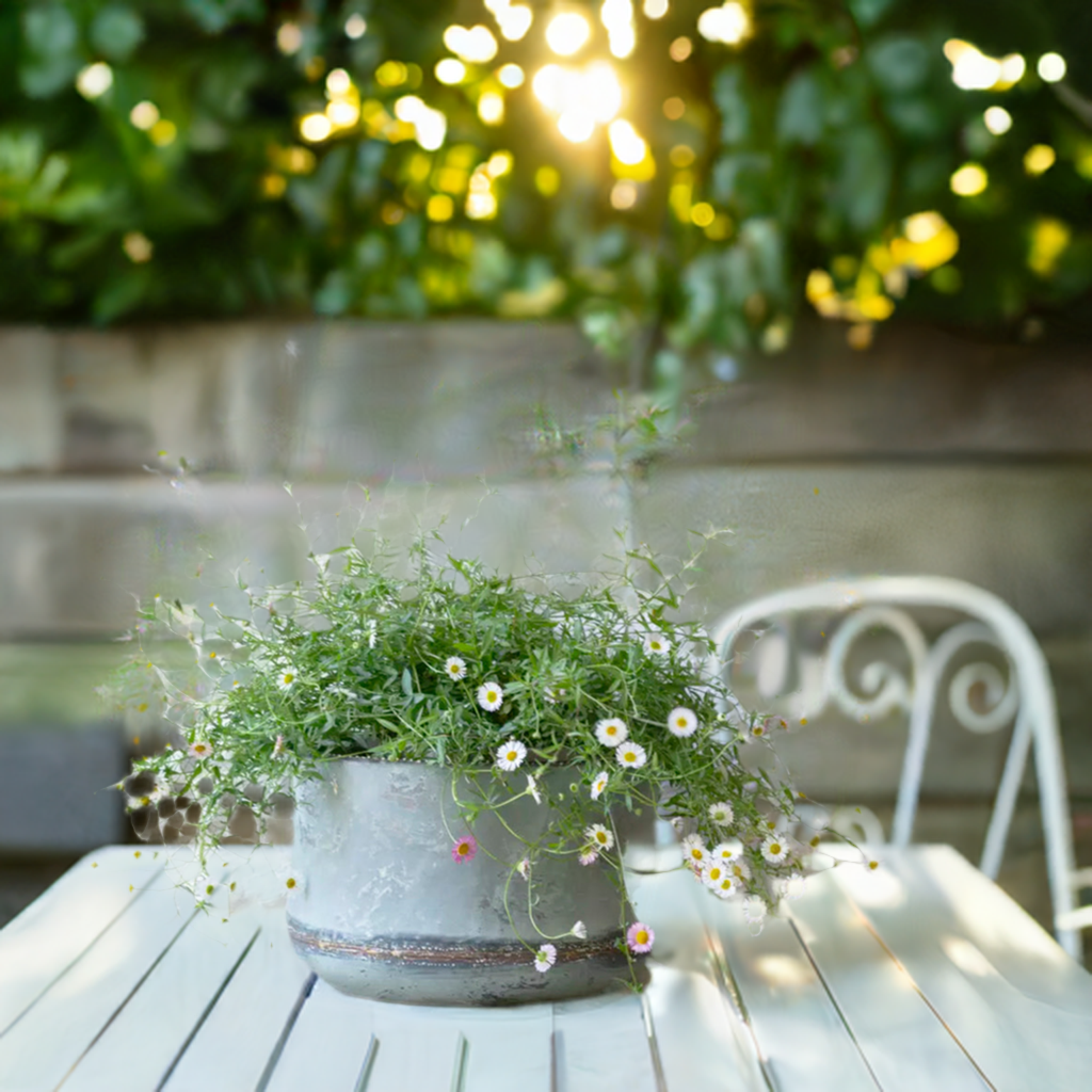 Bathwick Planters With Beading Set of 3