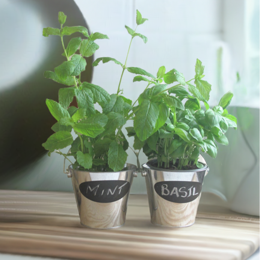 Set of 2 Tin Herb Pots with Chalkboard Labels