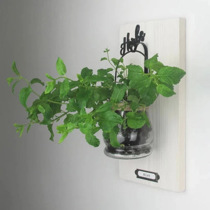 Wall Hanging Herb Garden with Glass or Tin Pot