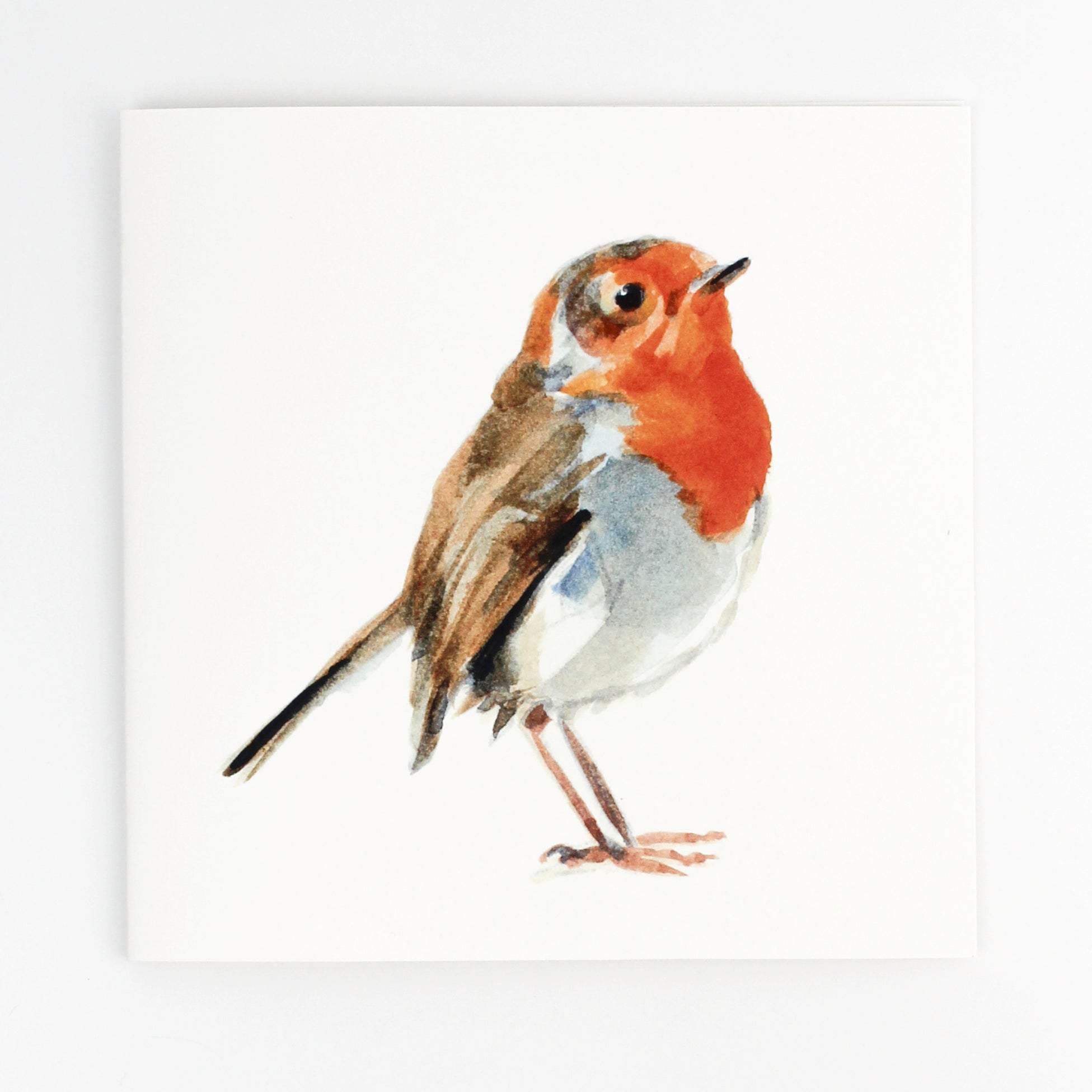 Christmas Card Collection - Mac and Lilly