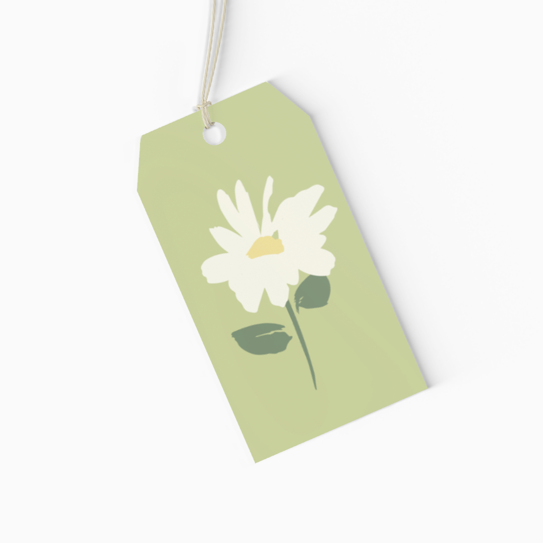 Daisy Meadow Gift Wrapping Paper