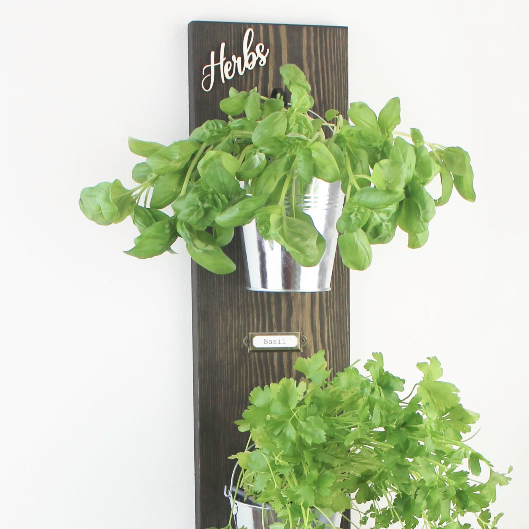 Wall-Mounted Herb Garden with Glass or Tin Pots