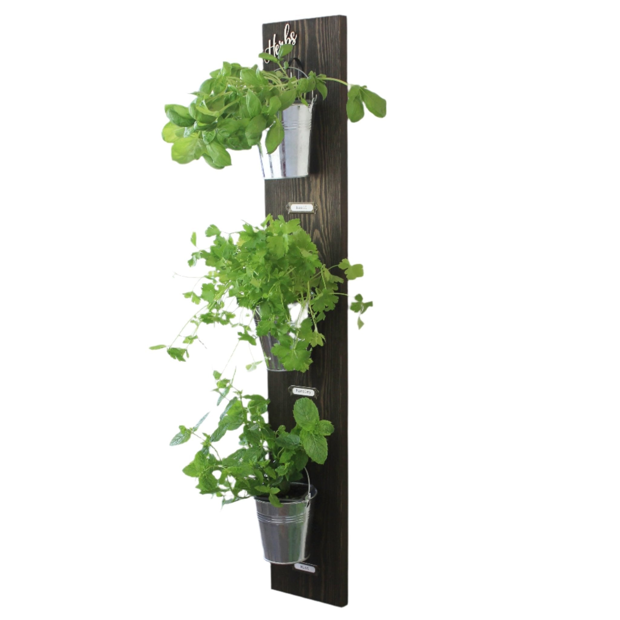 Wall - Mounted Herb Garden with Glass or Tin Pots - Mac and Lilly