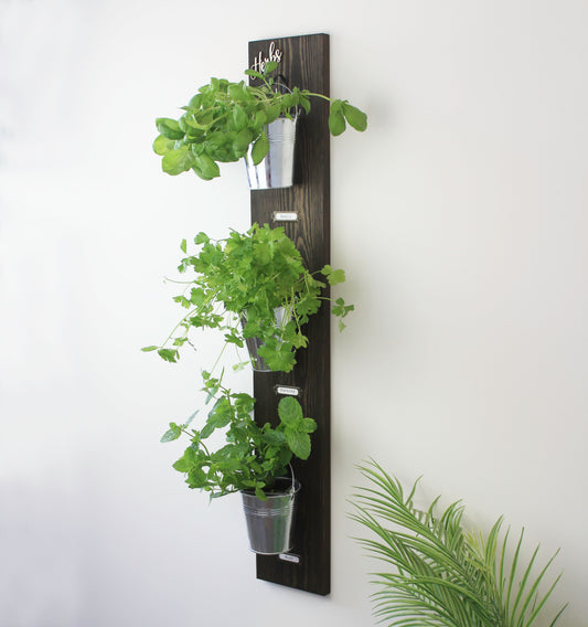 Large Wall Hanging Herb Garden with Glass or Tin Pots