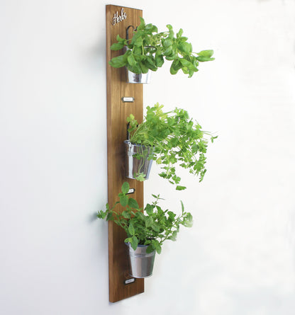 Large Wall Hanging Herb Garden with Glass or Tin Pots