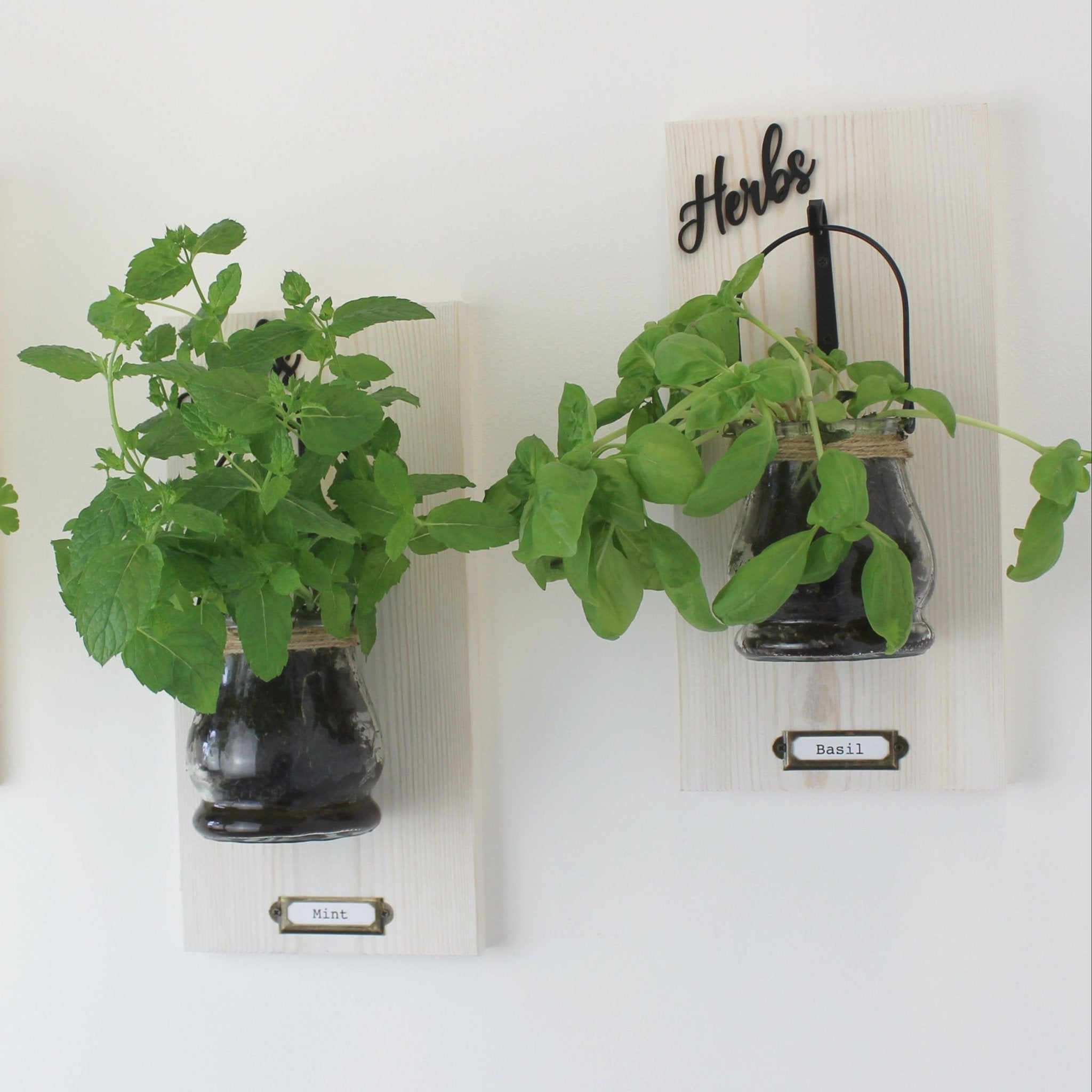 Wall - Mounted Herb Planter with Label Holder - Mac and Lilly