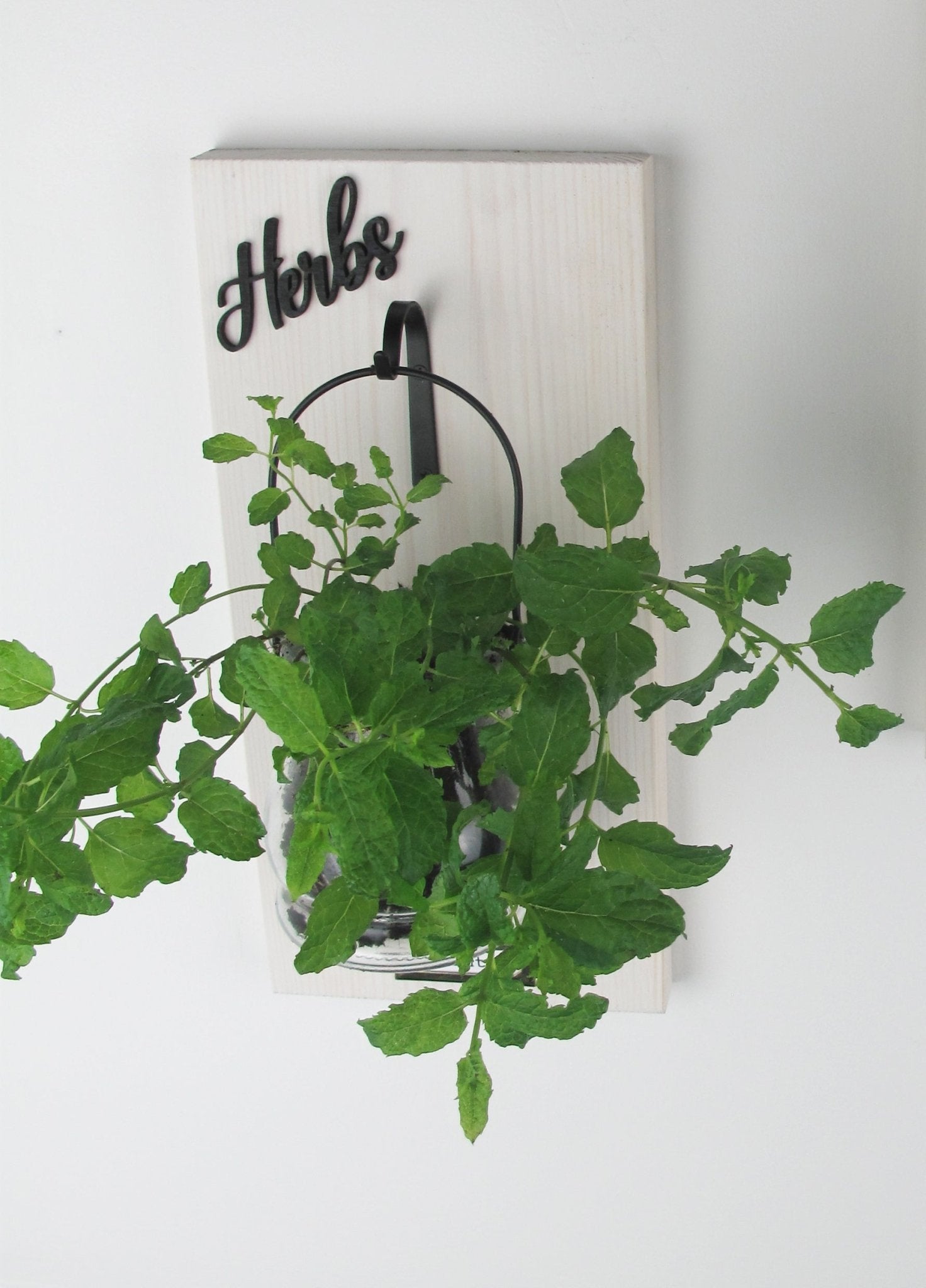 Wall - Mounted Herb Planter with Label Holder - Mac and Lilly