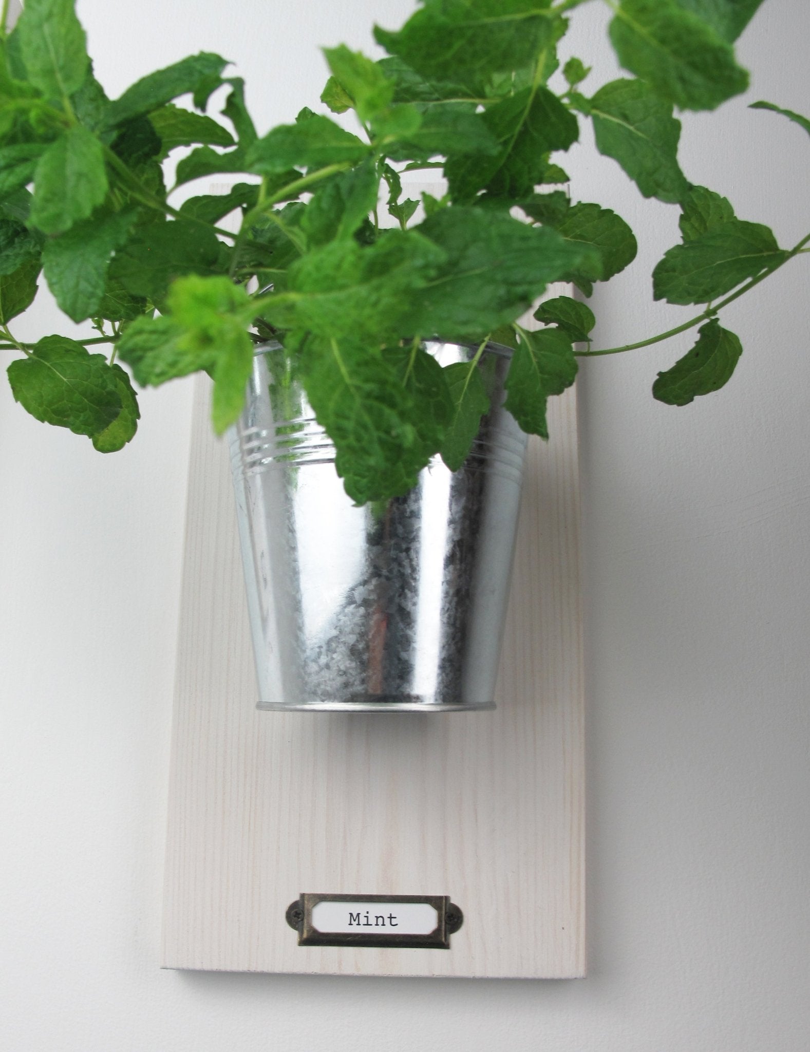 Wall - Mounted Herb Planter with Label Holder - Mac and Lilly
