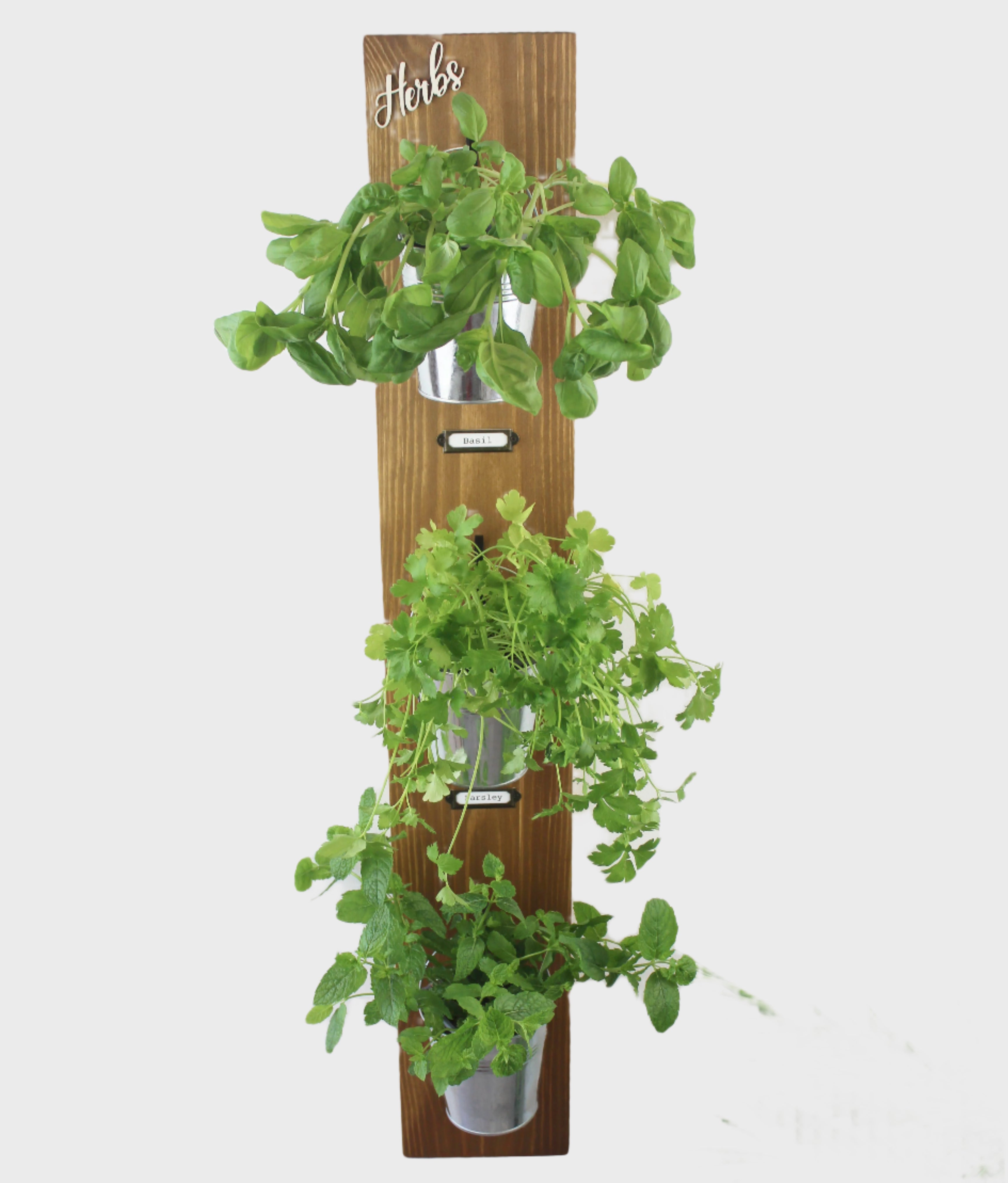 Wall-Mounted Herb Garden with Glass or Tin Pots