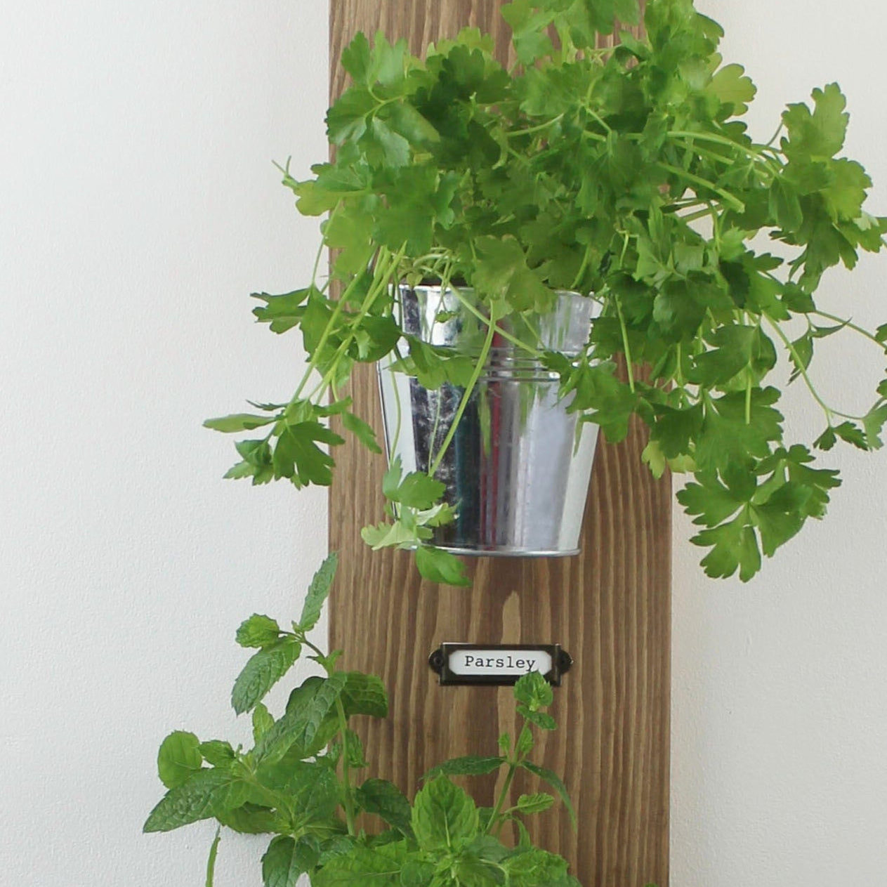 Wall-Mounted Herb Garden with Glass or Tin Pots